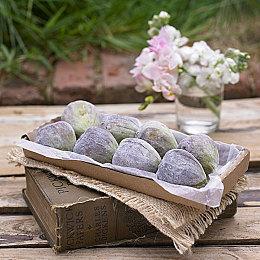 《破月勇者》发布升级档 有声书最新章节上线